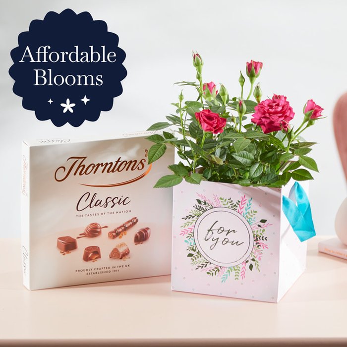 Mungo And Shoddy Cactus Funny Valentine's Day Card Moonpig